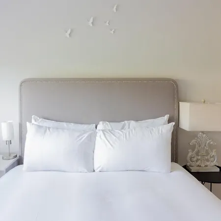 Semesterbostad Guestready - Tranquil Retreat In Kimmage Dublin